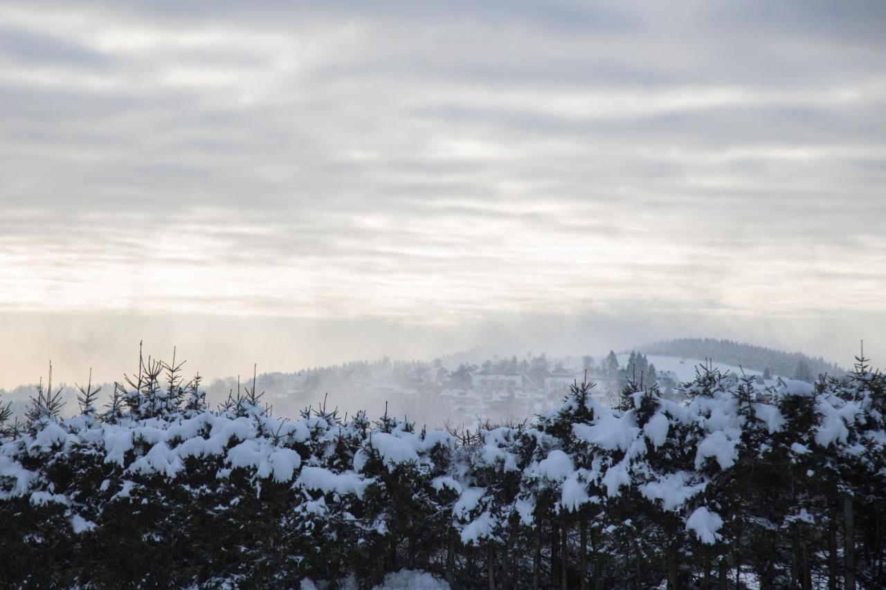 Naturtraum Winterberg Zewnętrze zdjęcie